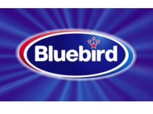 Bluebird